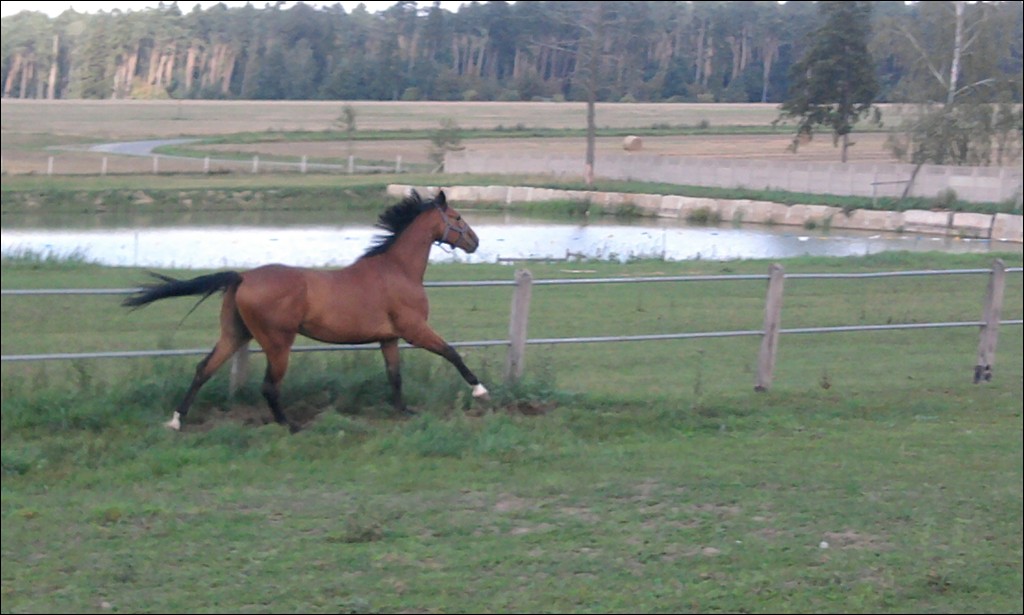 Jerry ♥