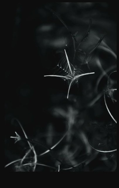 280.