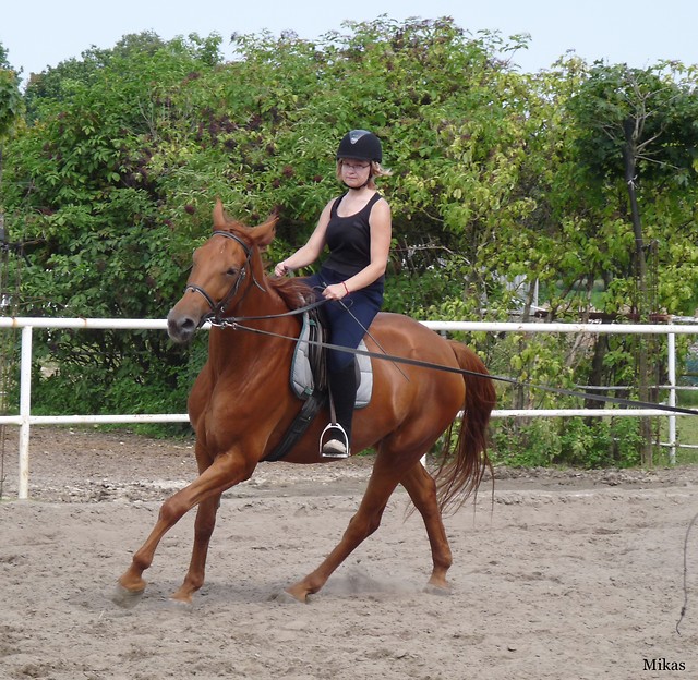 Galop na Czytniku :) 