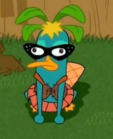 I`m Pepe :3