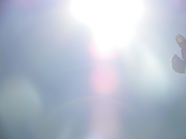 .;