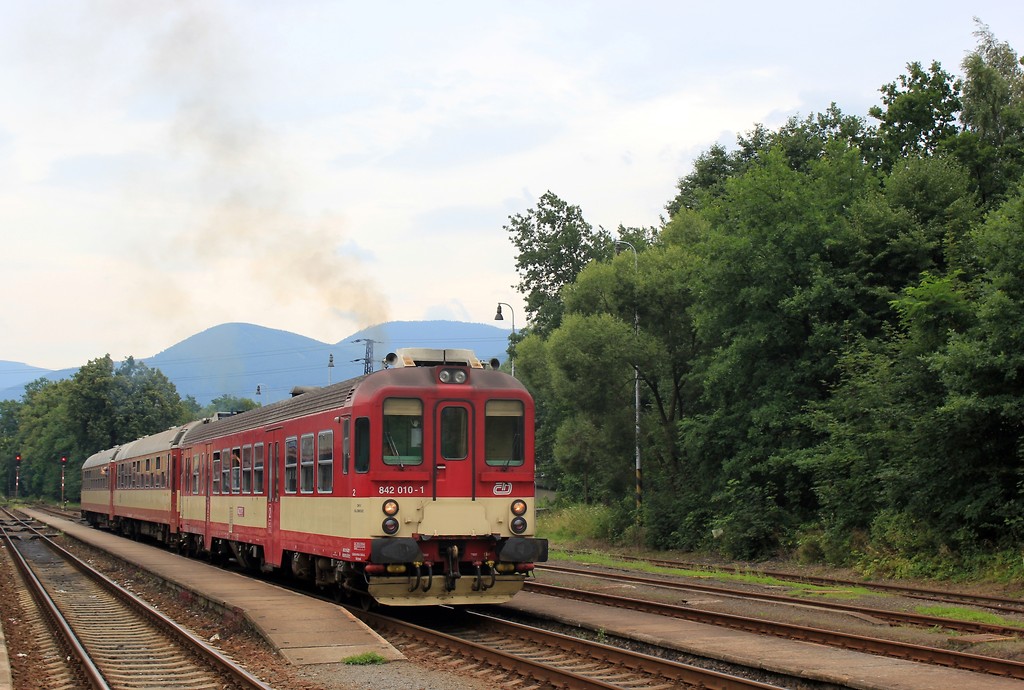 842 010-1