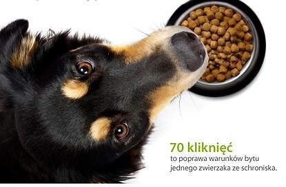 KLIK !