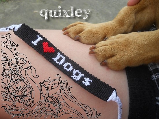 I love Dogs!
