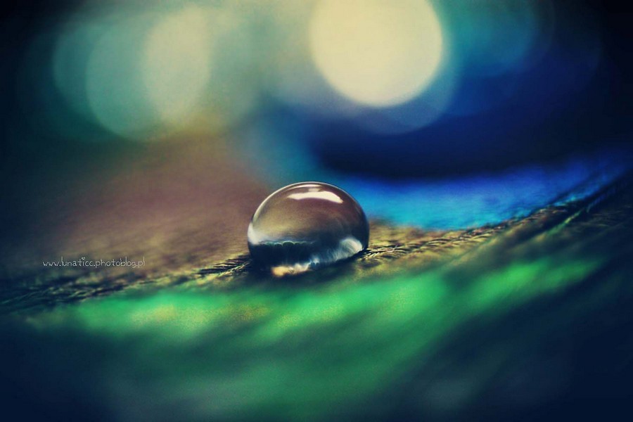 Drop.