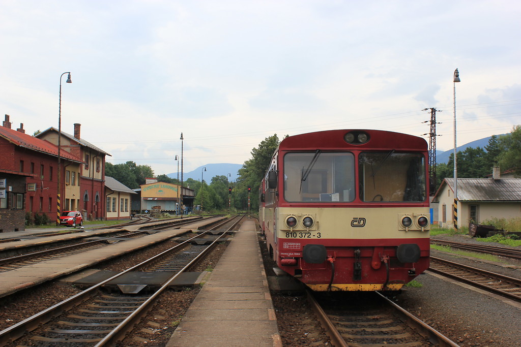 810 372-3