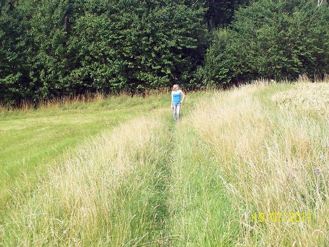 246. OHA am Harz