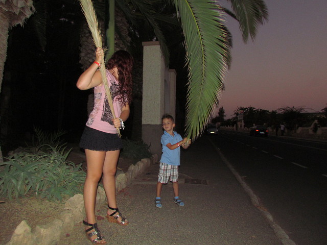 z olim 