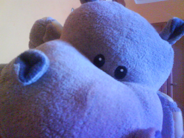 Franu :P