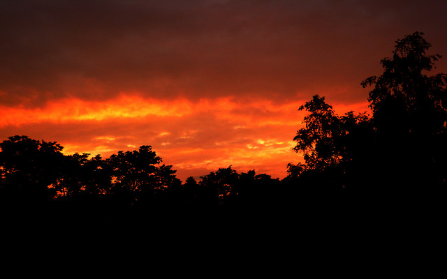 Photography #1