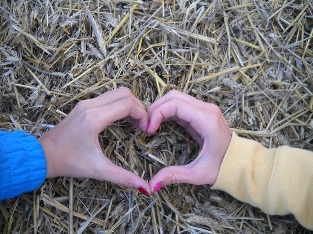 Wakacjee ! ; * 