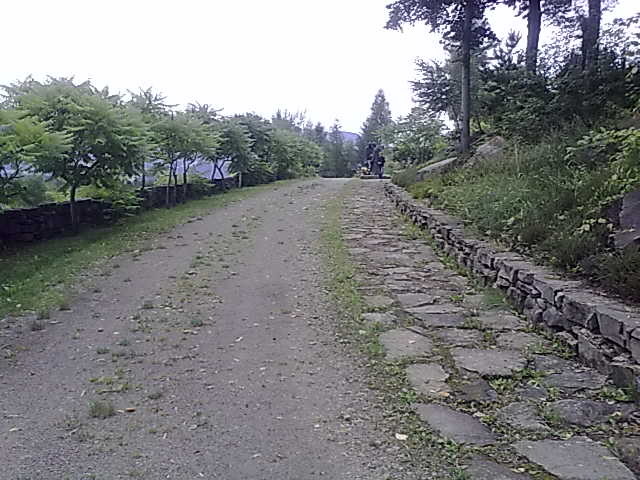 Gdzie daleko std....