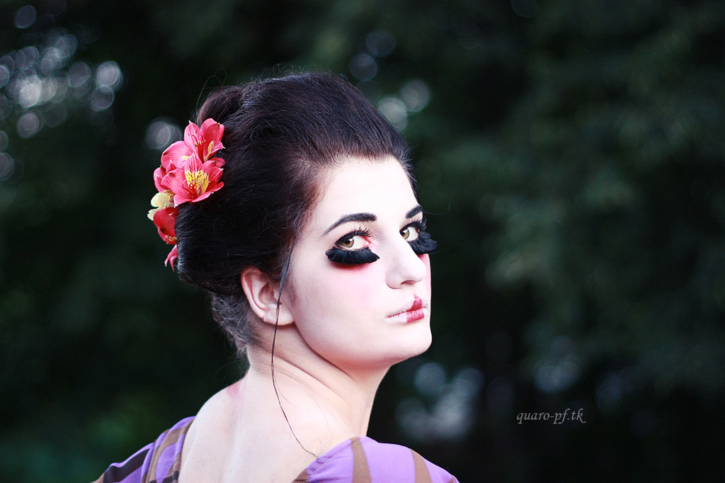 memoirs of geisha