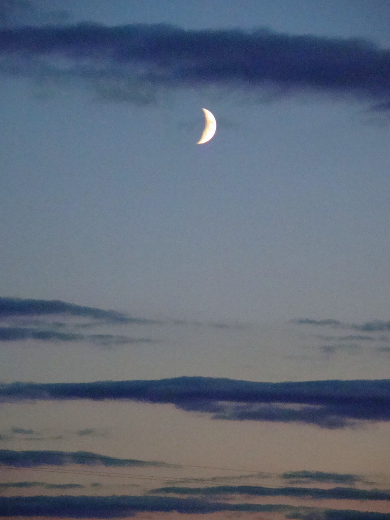 moon