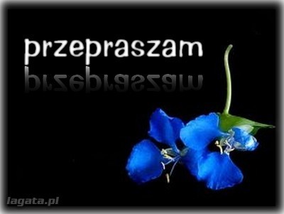 Wybacz ;)
