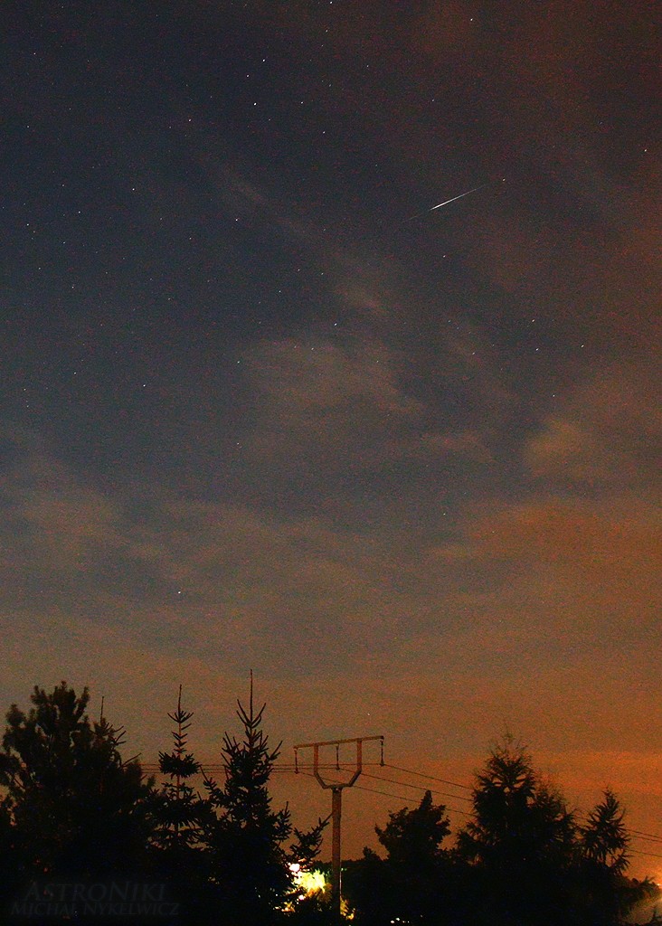 Perseid