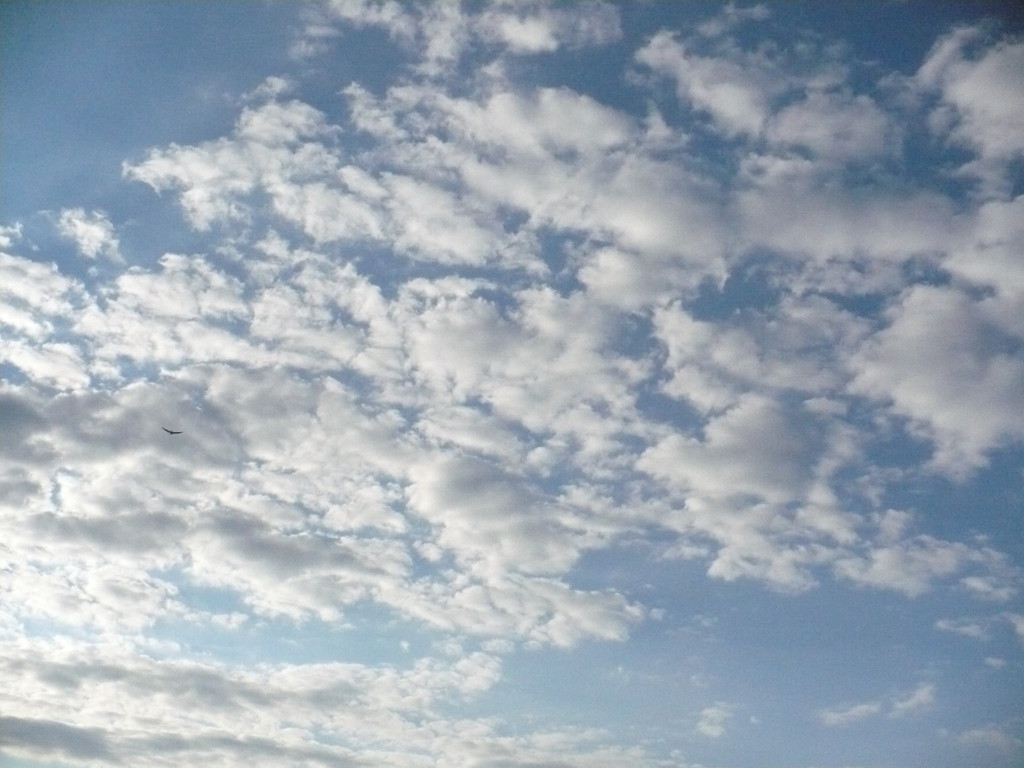niewiarygodne.