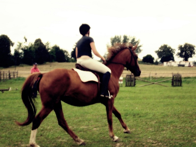 Myliwiec:))