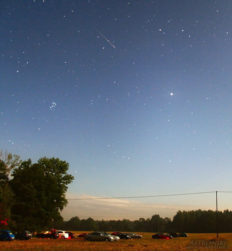 Perseid