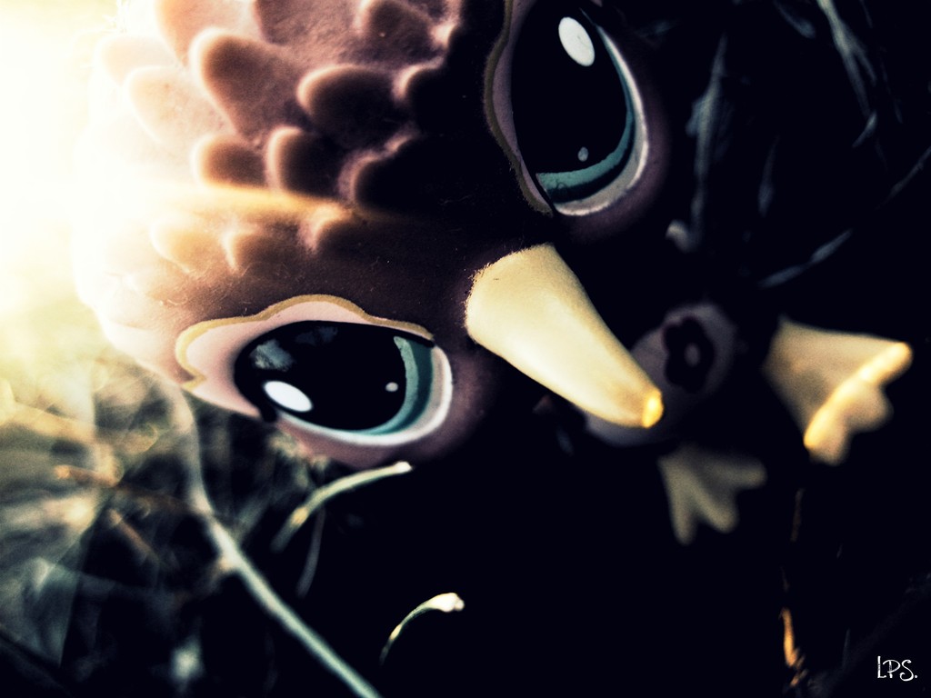 245.