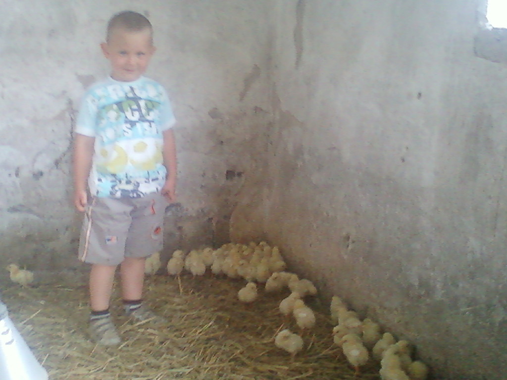 siema`