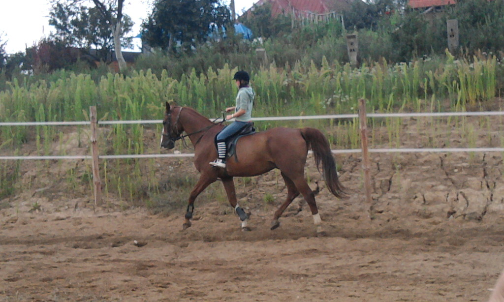 Na wIkingu