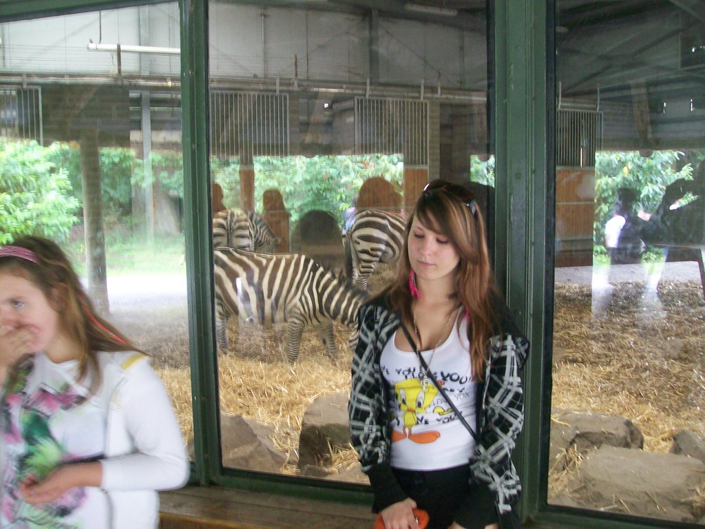w zoo.
