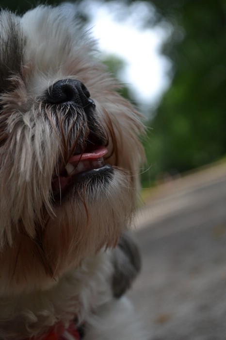 This is Maja ! :)