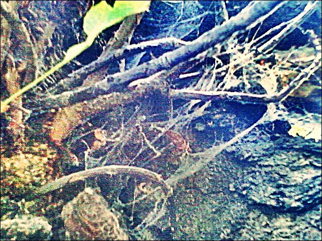 014.