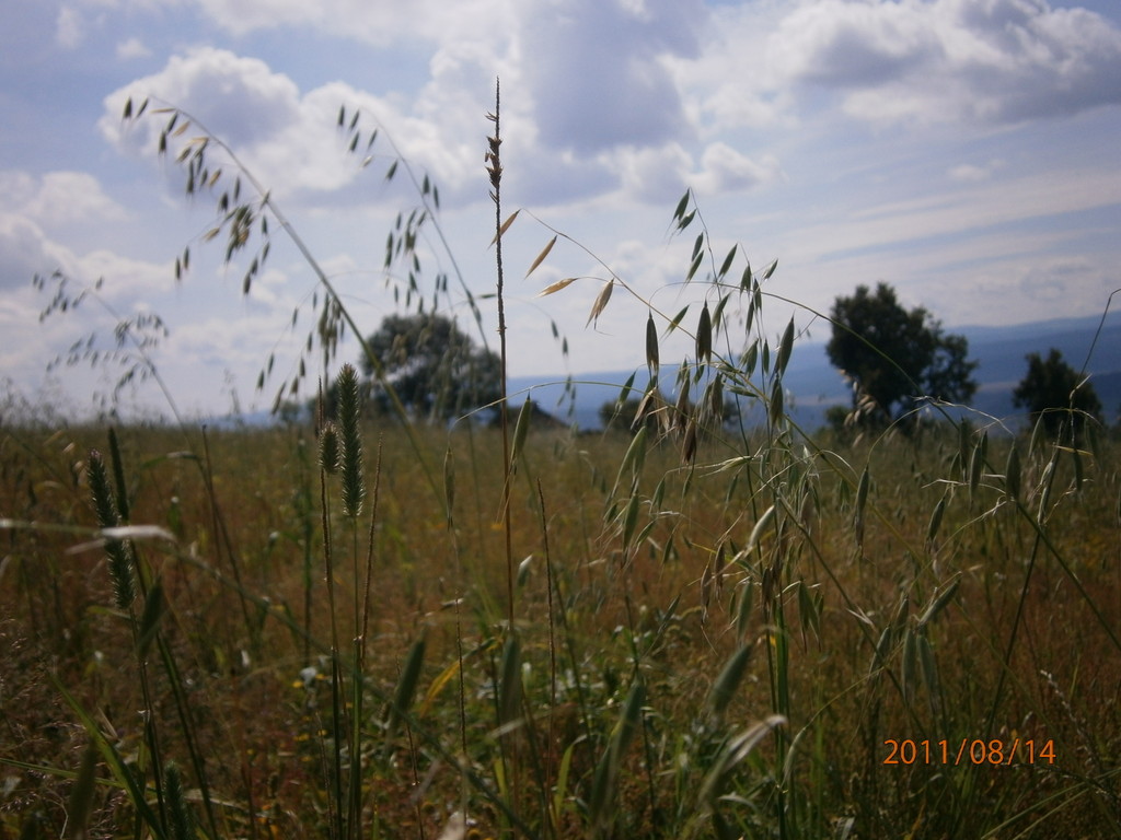 pola- Nowa Ruda