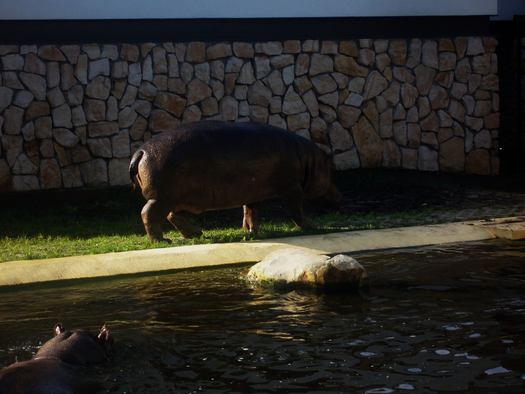 Zoo Warszawa