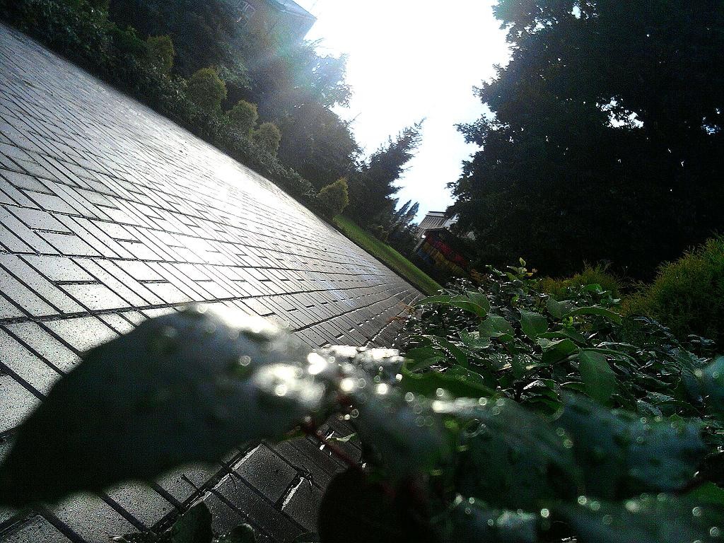 przyroda ;p 