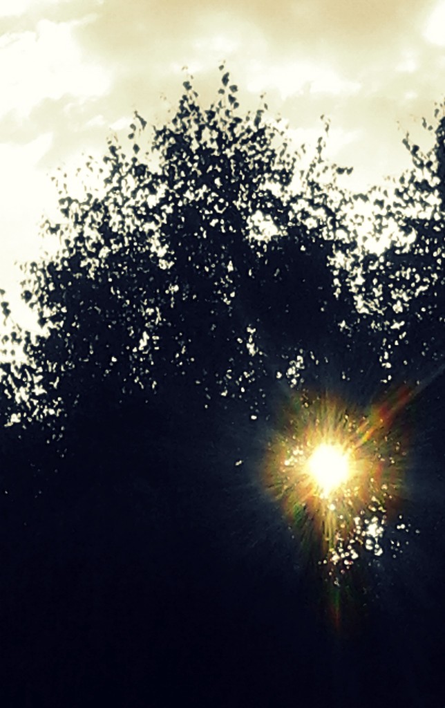Photographyy.