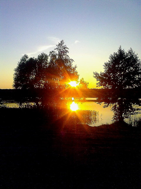 odrobina szalestwa