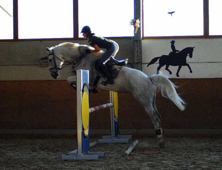 Ecurie de lour 