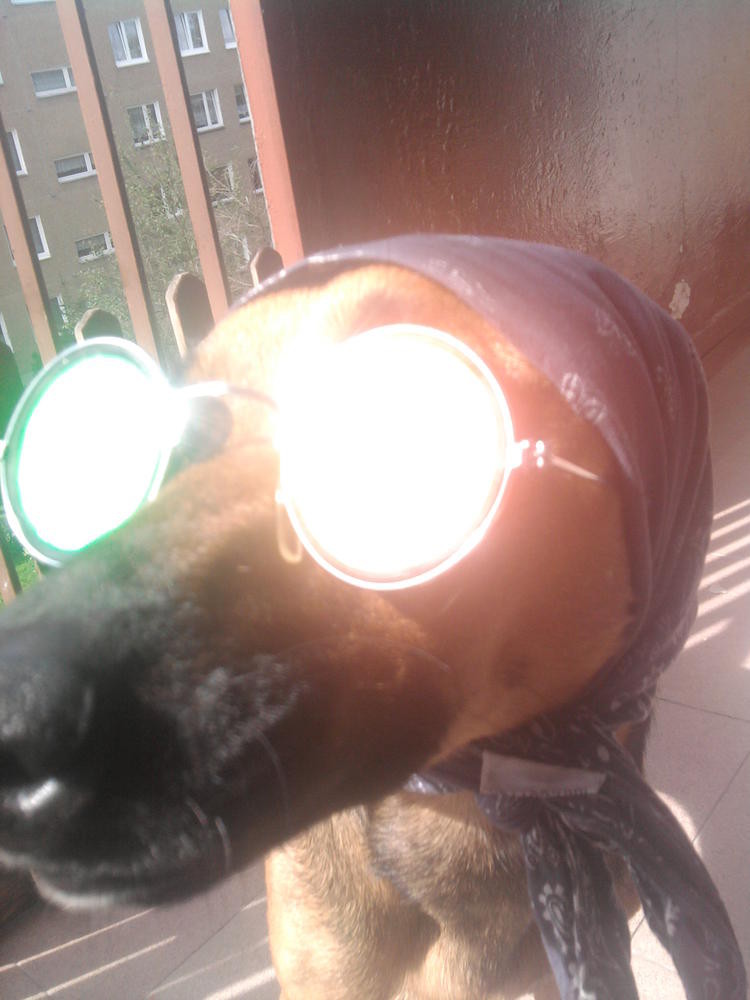 Tila ;d