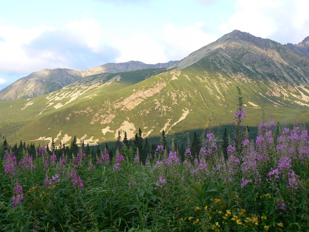Ach te nasze Tatry