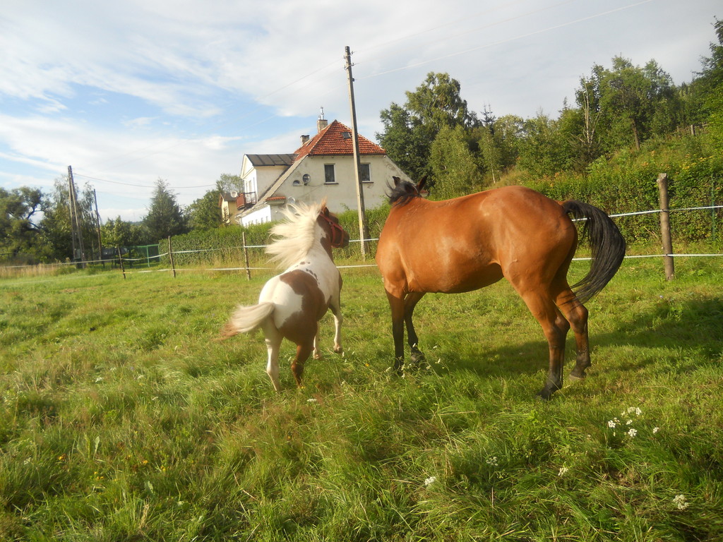 Karino & Harfa ;*