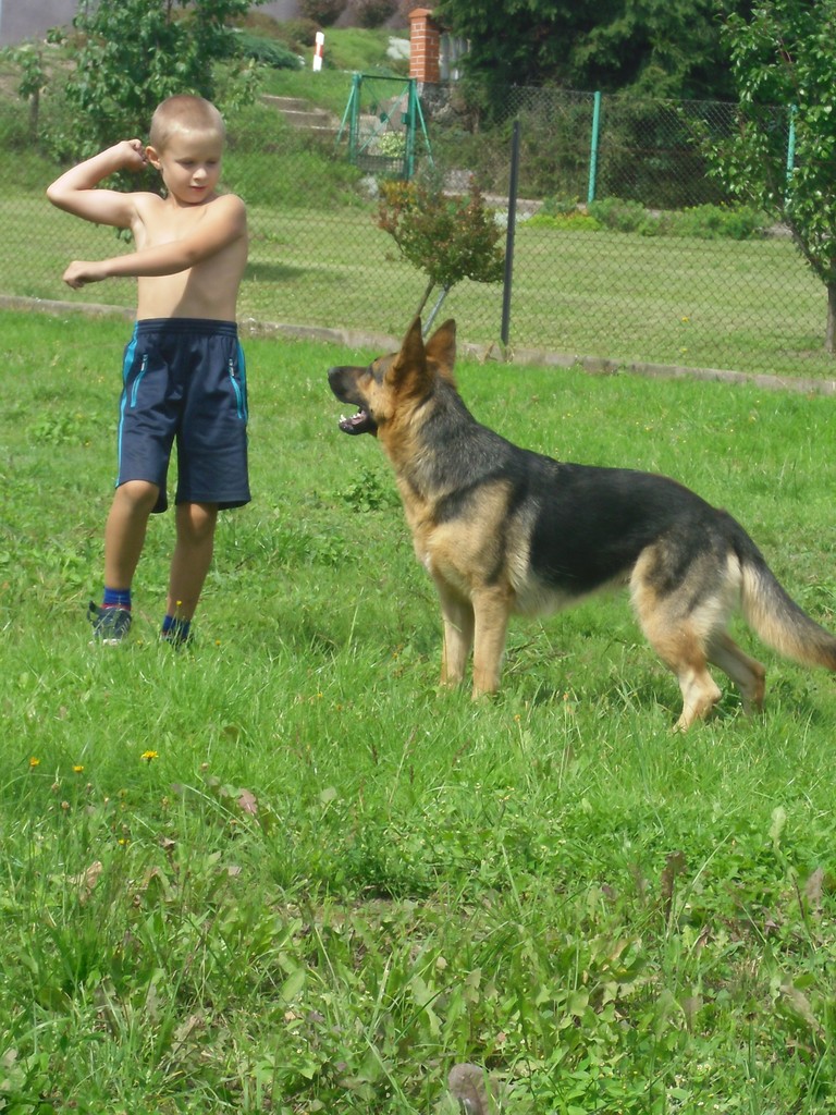 Hubi z Roxii ; D 