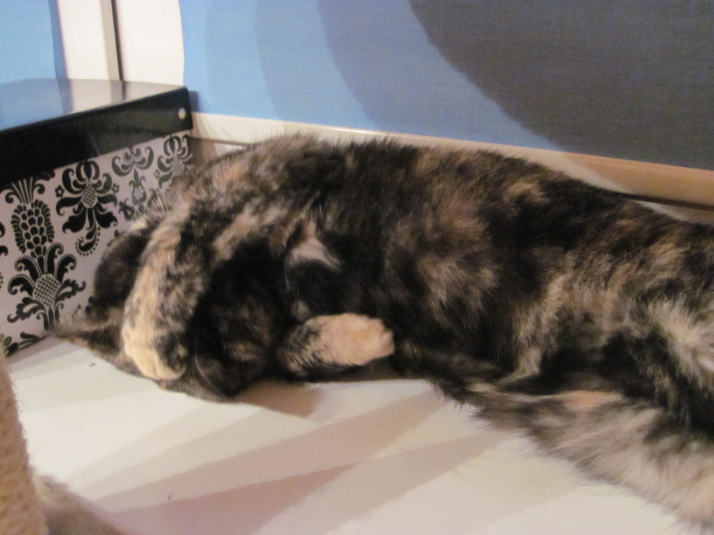 Della