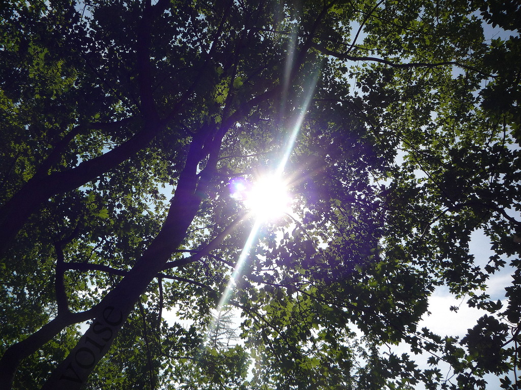 #2 Sunshine !