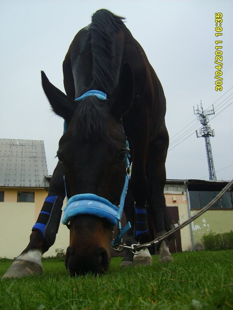 Casio :)