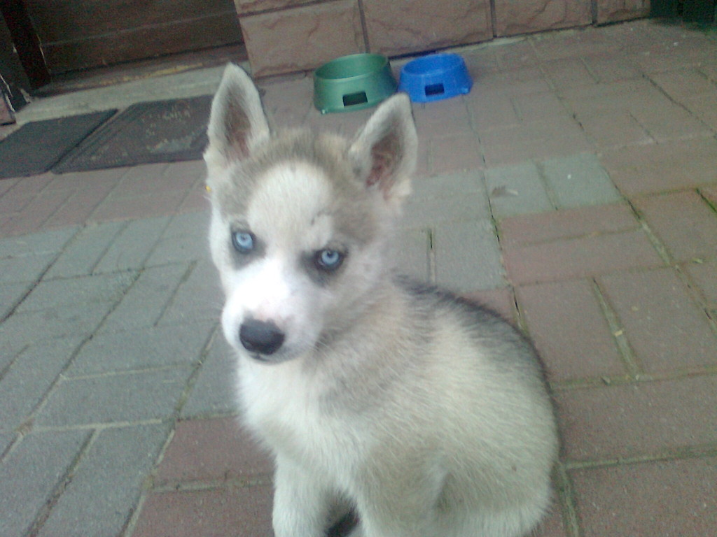 Ares:)