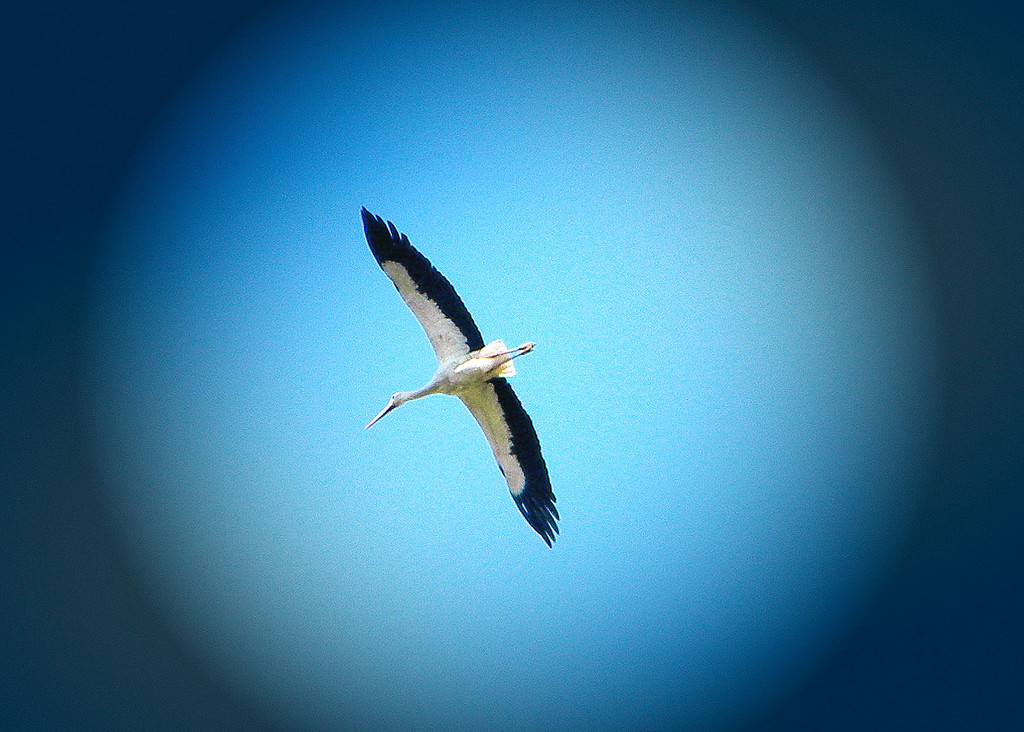 SYMBOL PODNOCI