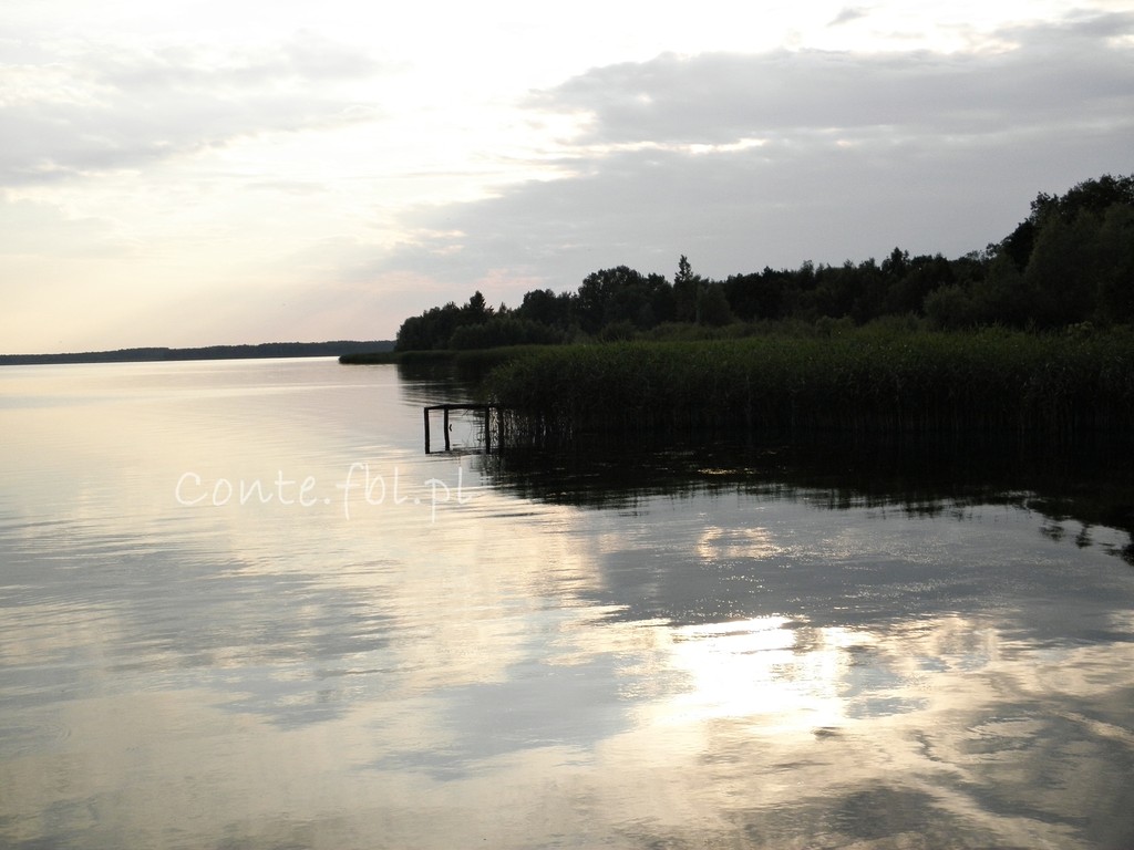 2.