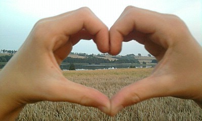serducho!!!~~$~~