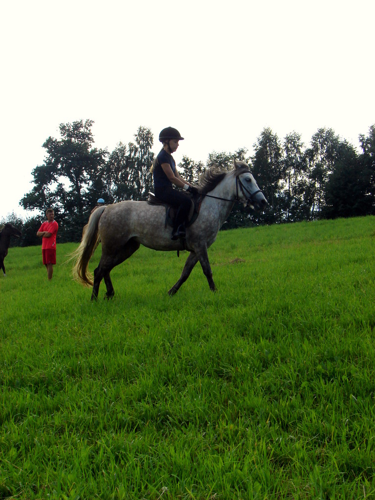 Duniowe Galopki 