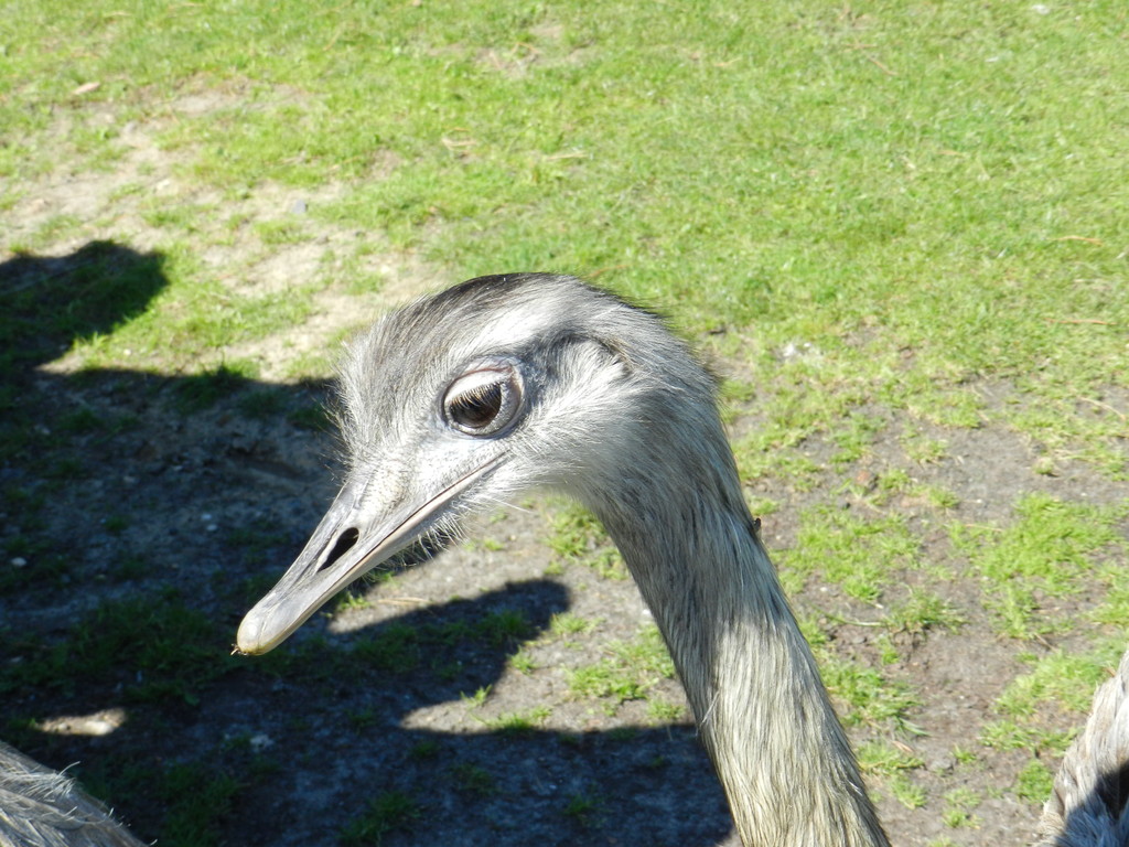 Zoo 