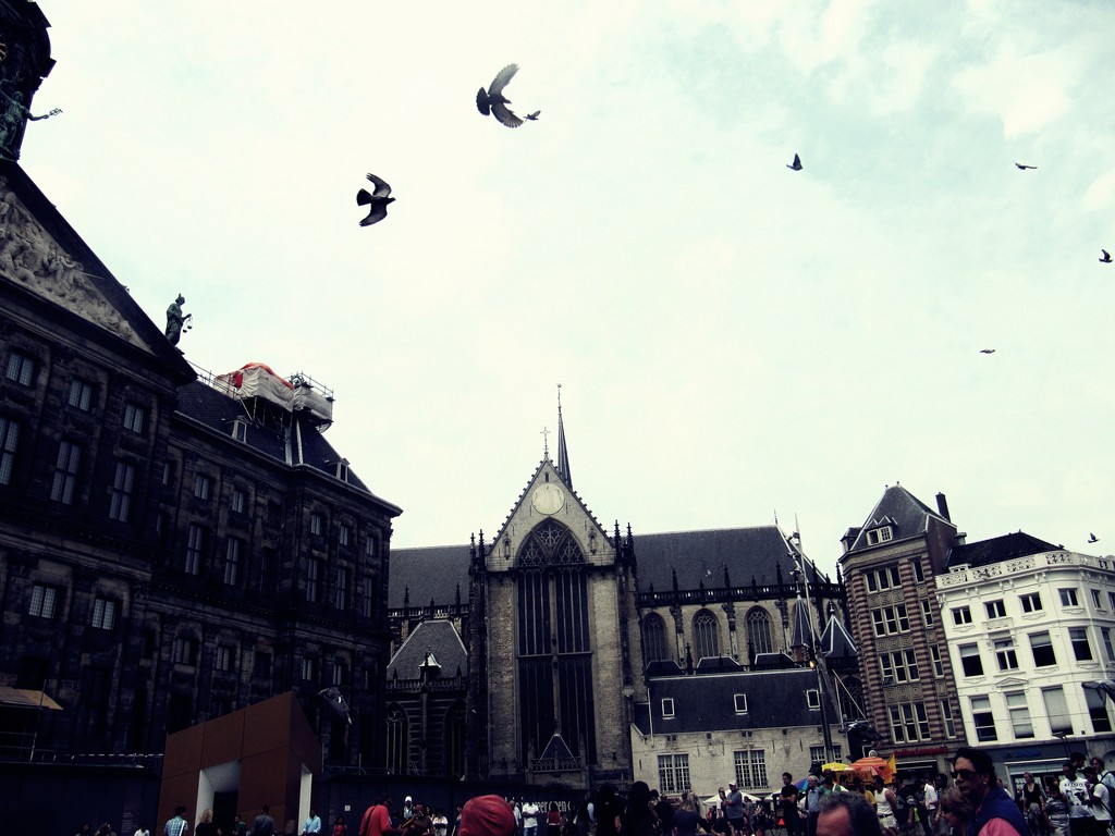 Holandia.