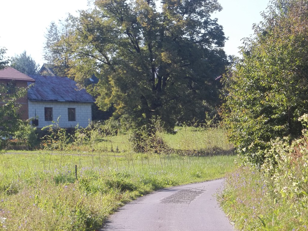 bieszczadskie